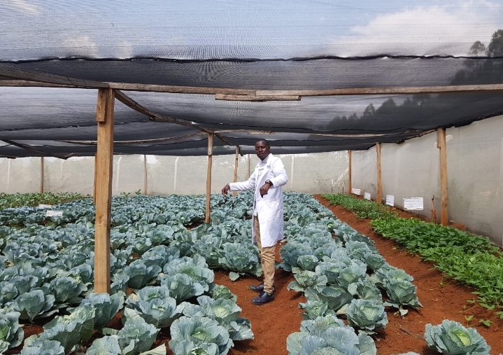 Beekeeping and agriculture